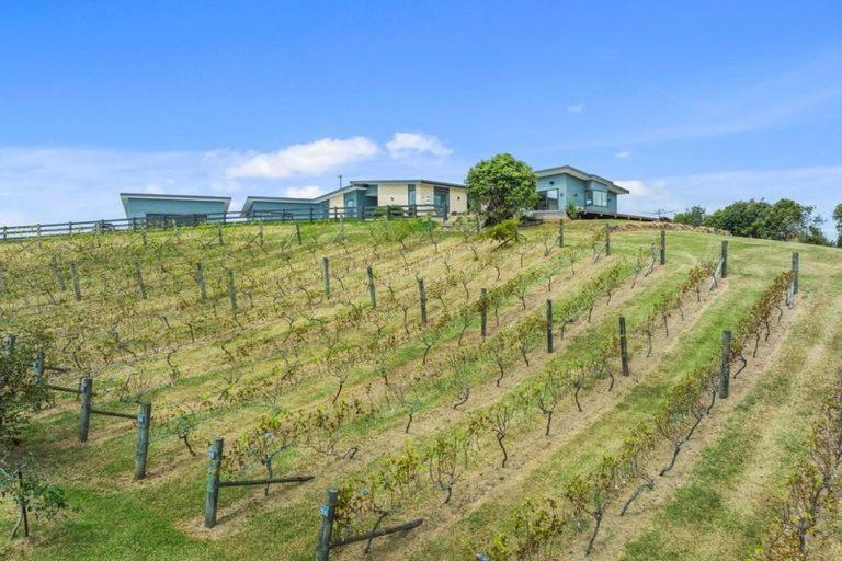 Hotel Vineyard Vacation Mangawhai Esterno foto